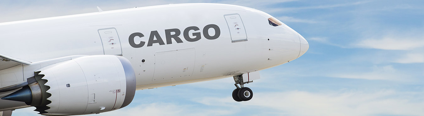 Efficient and safe cargo charter services with customized transport solutions